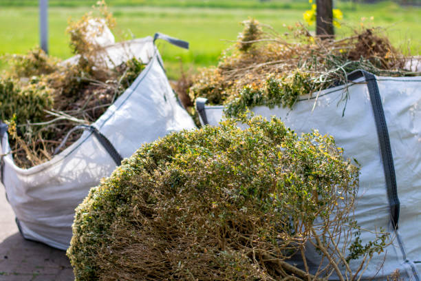 Best Estate Cleanout Services  in Logan, OH